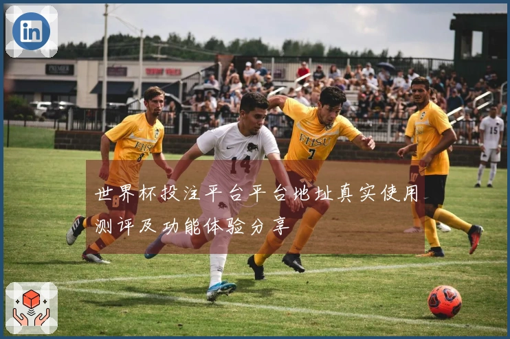 世界杯投注平台平台地址真实使用测评及功能体验分享