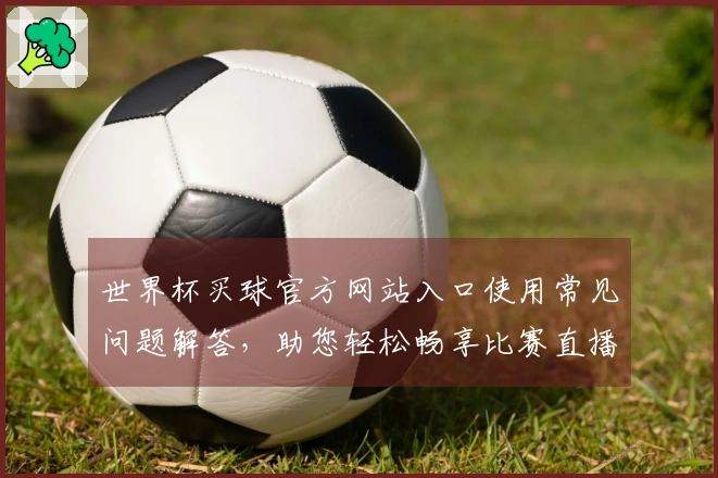 世界杯买球官方网站入口使用常见问题解答，助您轻松畅享比赛直播体验