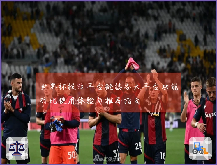 世界杯投注平台链接各大平台功能对比使用体验与推荐指南