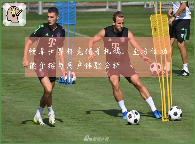 畅享世界杯竞猜手机端：全方位功能介绍与用户体验分析