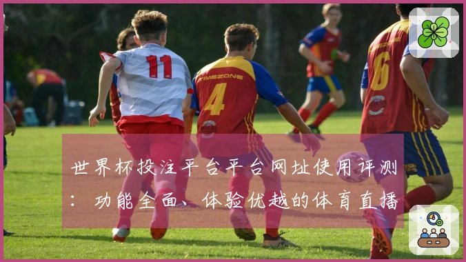 世界杯投注平台平台网址使用评测：功能全面、体验优越的体育直播平台分析