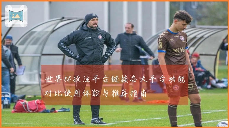 世界杯投注平台链接各大平台功能对比使用体验与推荐指南
