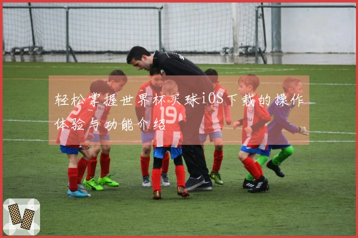 轻松掌握世界杯买球iOS下载的操作体验与功能介绍